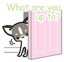 Kawaii Chihuahua (English) sticker #2752363
