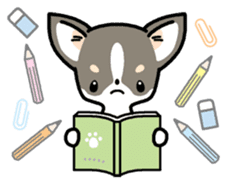 Kawaii Chihuahua (English) sticker #2752365
