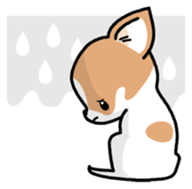 Kawaii Chihuahua (English) sticker #2752369