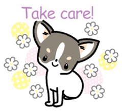 Kawaii Chihuahua (English) sticker #2752371