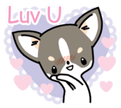 Kawaii Chihuahua (English) sticker #2752372