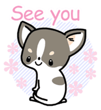 Kawaii Chihuahua (English) sticker #2752376