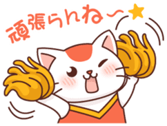 Hakata of cat sticker #2755168