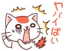 Hakata of cat sticker #2755179