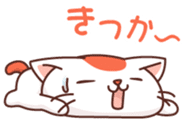 Hakata of cat sticker #2755194