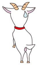 Baar! Baar! goat sticker #2756120