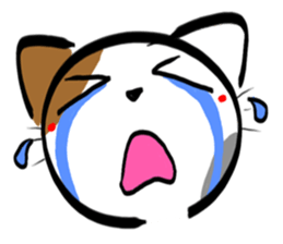 Tortoiseshell cat Sticker sticker #2758029