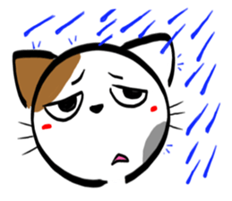 Tortoiseshell cat Sticker sticker #2758037