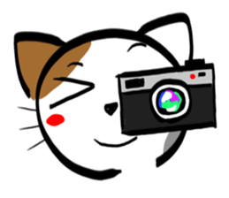 Tortoiseshell cat Sticker sticker #2758045