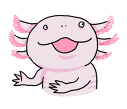 Pajeo and Friends sticker #2758673