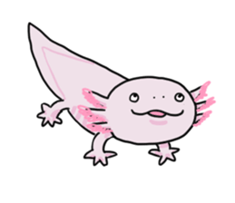 Pajeo and Friends sticker #2758705