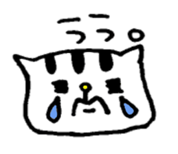 cat!!!! sticker #2758859