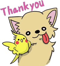 Hime the Chihuahua sticker #2759515