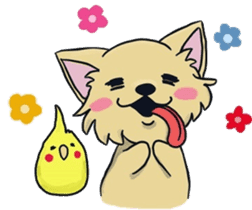 Hime the Chihuahua sticker #2759516
