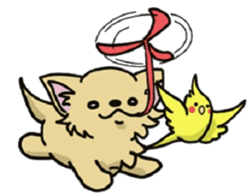 Hime the Chihuahua sticker #2759519