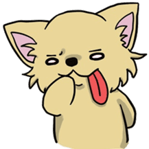 Hime the Chihuahua sticker #2759520