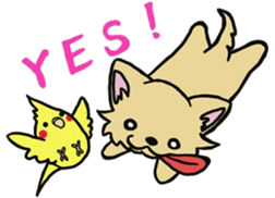 Hime the Chihuahua sticker #2759521