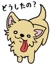 Hime the Chihuahua sticker #2759524