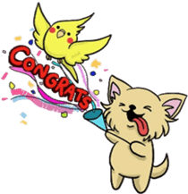 Hime the Chihuahua sticker #2759526