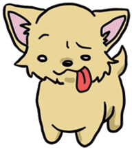 Hime the Chihuahua sticker #2759533