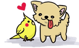 Hime the Chihuahua sticker #2759536