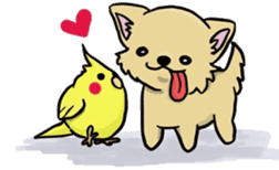 Hime the Chihuahua sticker #2759536