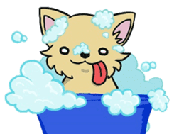 Hime the Chihuahua sticker #2759537