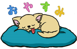 Hime the Chihuahua sticker #2759538