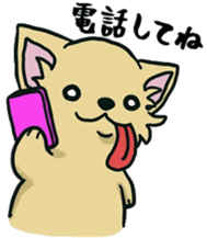 Hime the Chihuahua sticker #2759539