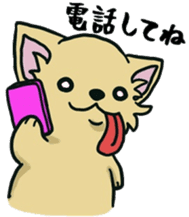 Hime the Chihuahua sticker #2759539