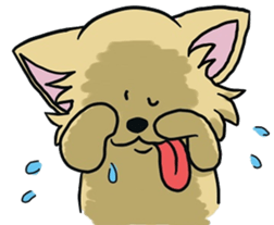 Hime the Chihuahua sticker #2759540