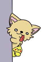 Hime the Chihuahua sticker #2759543