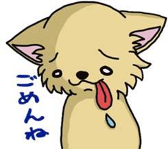 Hime the Chihuahua sticker #2759544