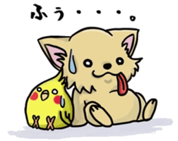 Hime the Chihuahua sticker #2759545