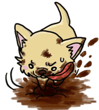 Hime the Chihuahua sticker #2759547