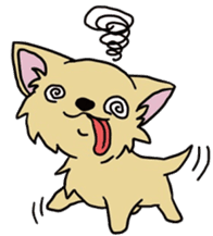 Hime the Chihuahua sticker #2759549