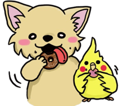 Hime the Chihuahua sticker #2759550