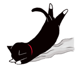 Black cat Kotaro sticker #2759803