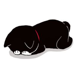 Black cat Kotaro sticker #2759817
