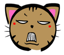 A brown tiger cat Sticker sticker #2761825