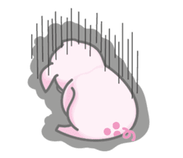 Nollie & Blunt sticker #2767676