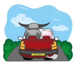 Nollie & Blunt sticker #2767689