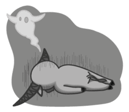 Nollie & Blunt sticker #2767702