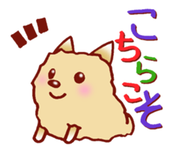 It is a sticker of the Pomeranian. sticker #2770121