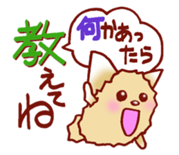It is a sticker of the Pomeranian. sticker #2770143