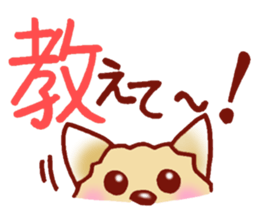 It is a sticker of the Pomeranian. sticker #2770145