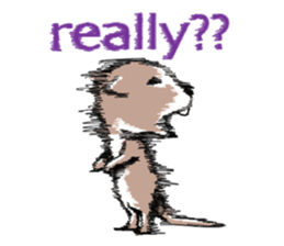 Party zoo sticker #2772562