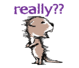 Party zoo sticker #2772562