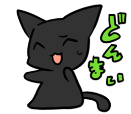 Life of black cat sticker #2774532