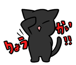 Life of black cat sticker #2774544